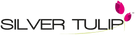 Silver Tulip